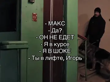 Источник кадров - ICTV (YouTube) #пёс #рек