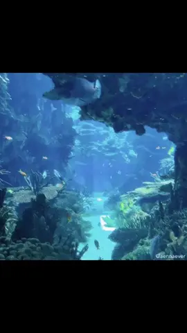 #альбом #ульянаmvp #джонгарик #сиять #престиж 