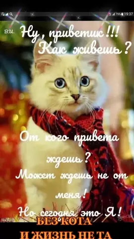 TikTok video #7044697035802430722