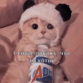 мило💗 #котик #кот #кошка #котенок #улыбнись