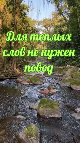 #Пожеланиядоброгодня🙂