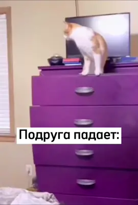 TikTok video #7066688181332086018