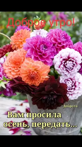 #сдобрымутромдрузья