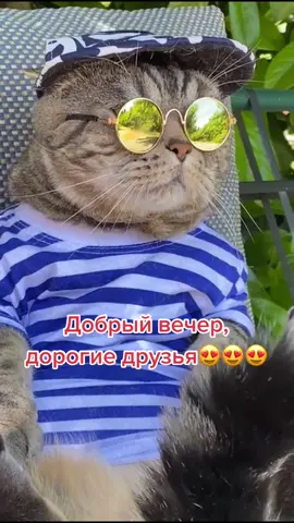 😍 #рек #рим #tiktok #вася #ГлавныйПоВпискам #врек #котикток #рекоменд...