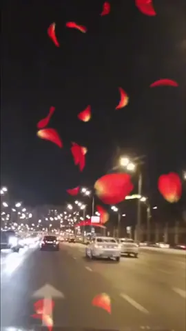 TikTok video #7046045442836090114