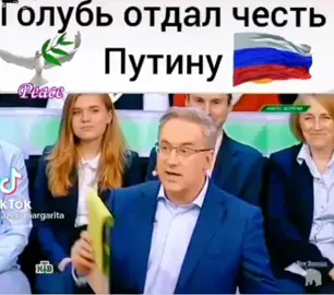 TikTok video #7067043744364711170