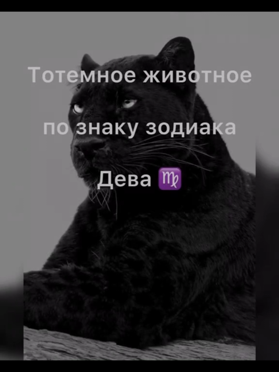 #зз #рекомендации #гороскоп #дева 