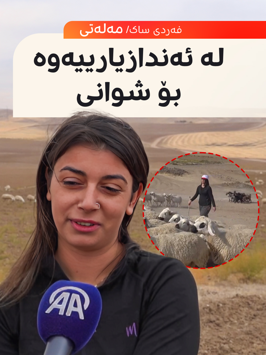 لە ئەندازیارییەوە بۆ شوانی... چیرۆکی باڵکێشی ژنێکی کورد لە مەلەتی. 37...