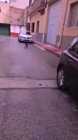 #fup #viral #unfreezemyacount #foryou #foryoupage 