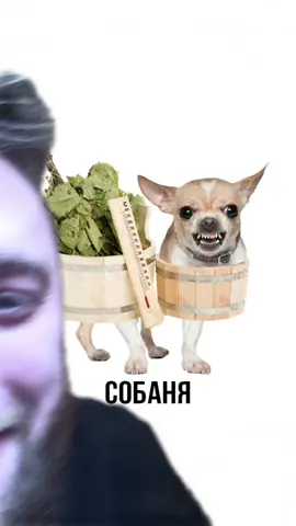 TikTok video #7063001751074376961