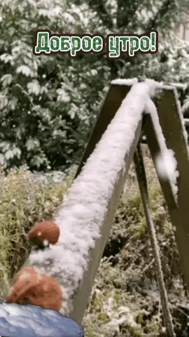 TikTok video #7050891915557997825