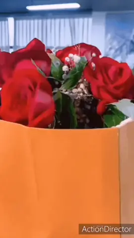 #Garnierперемотка #доброеутро #