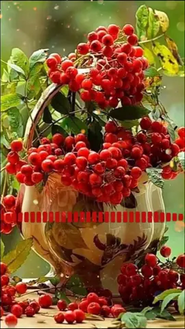 #доброеутро#друзьям#длятебя#осень#утро