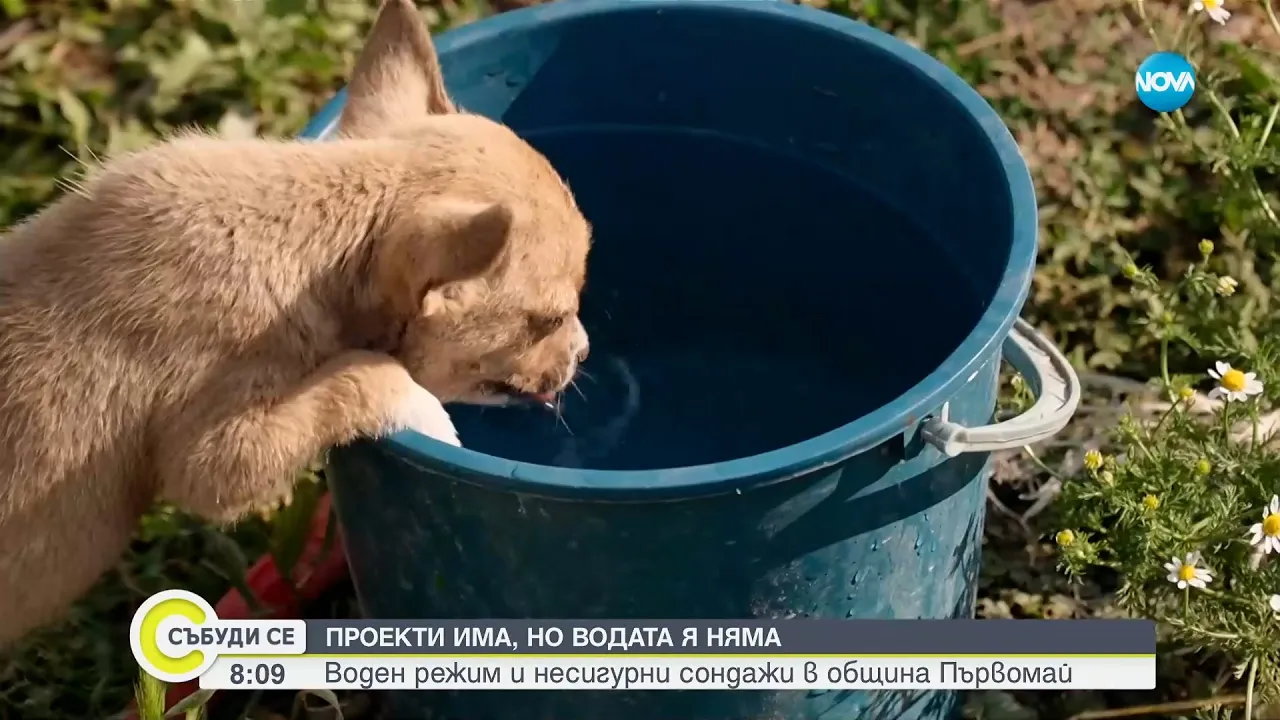 Обезводие и режим на водата в българските села - Събуди се...(21.06.2025)