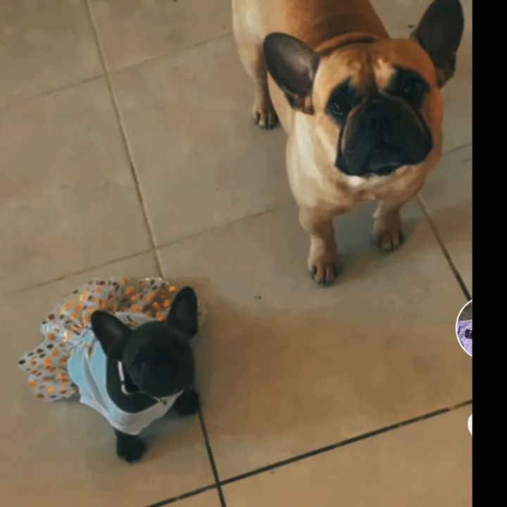 tiktok-live video #7601125431198108432 2026-01-30 12:35