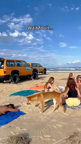 #babybiyoutefulviralvideos 