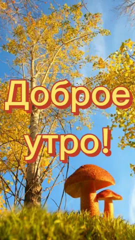 #доброеутро #доброе #30сентября #хочуврек
