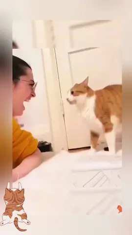 funnycats😂😂#funnyvideo #cat #funnycat #catlover #cutecat #catsoftiktok #viral_video 