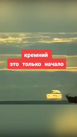 диатомовые водоросли #кремний #водорослиморские