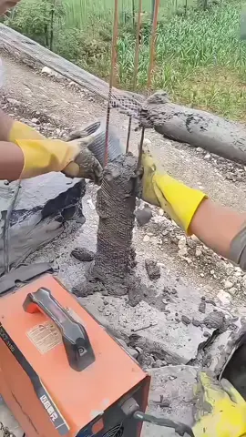 #TikTokCreatorSearchInsightsIncentive 