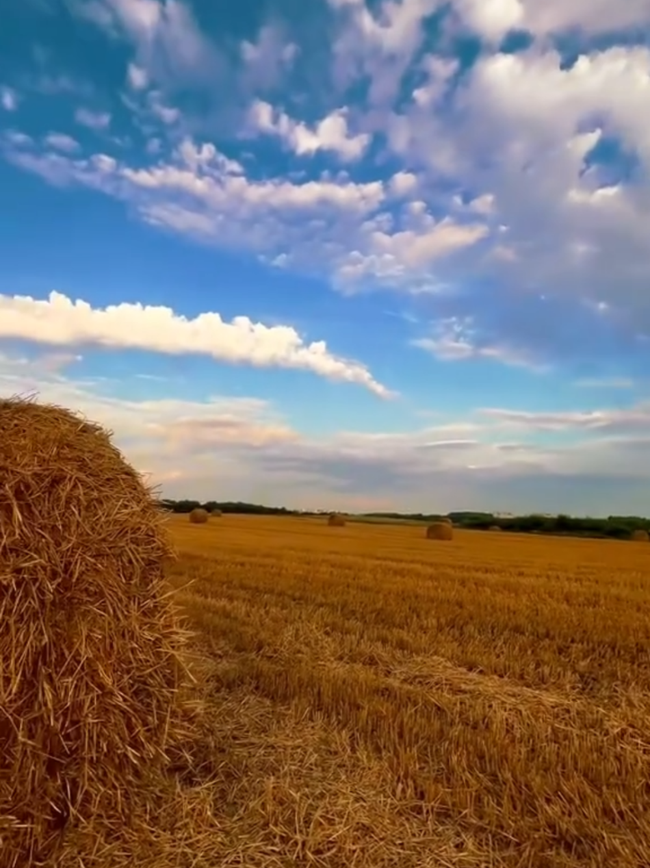 🇧🇾Беларусь🇧🇾❤💯❤Наш президент❤#fyyyp #top #тикток #рекомендации #белар...