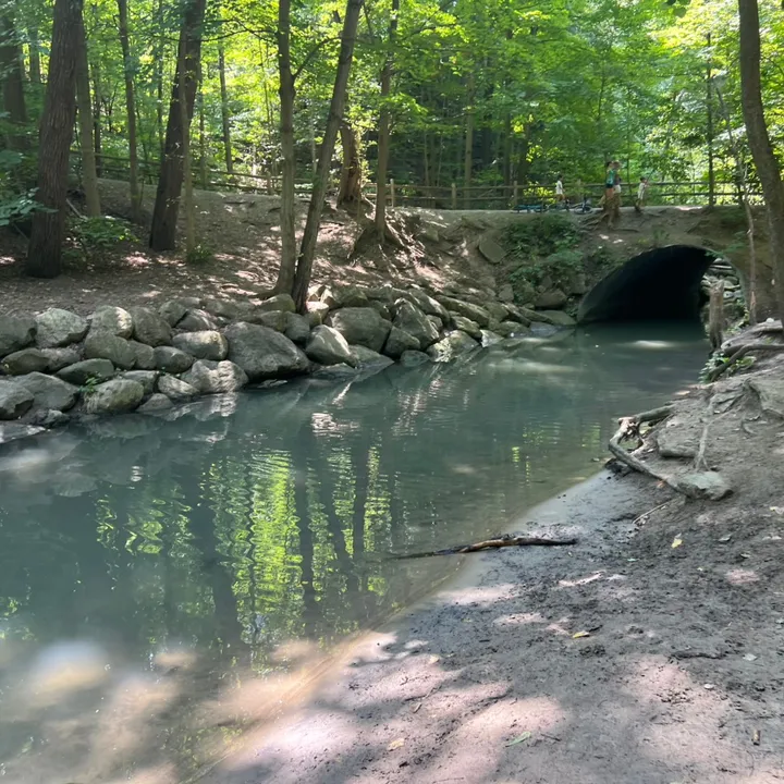 tiktok-live video #7594601630461987602 2026-01-12 22:46