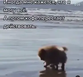 #понедельникденьтяжелый
