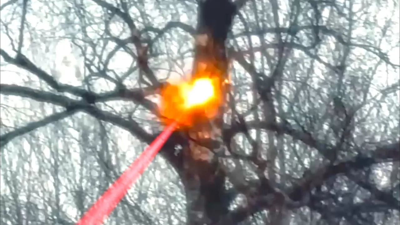 Вырубку леса лазером показали в России