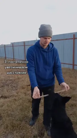 Ответ пользователю @vitta_angelova #HONOR50duet #локус