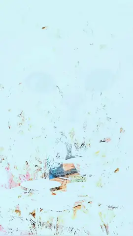 Хомяк. Премия Дарвина