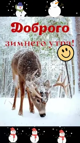 #доброеутро #дорогие ☃️❄️