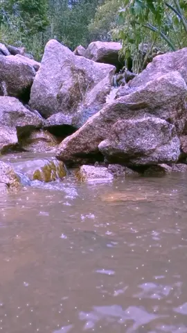 спасибо за то что ты есть у меня@kazantseva777.7