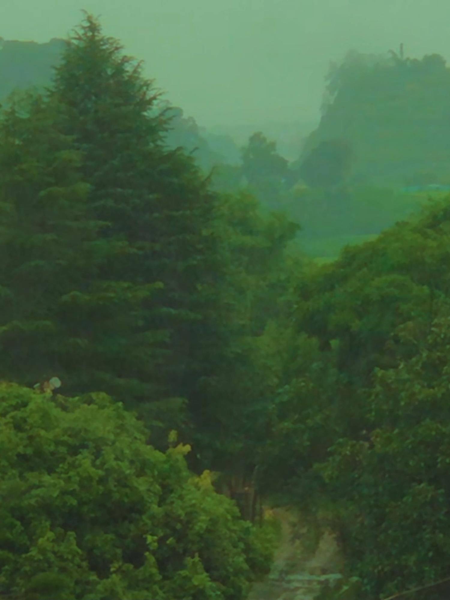 1 hour rain sounds for sleeping | wake up feeling refreshed   #rain #...