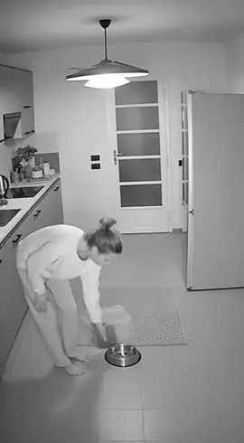 un po' alla volta#sora #ai #viral #meme #cat 