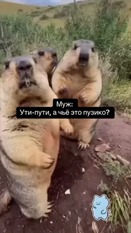 #реки #memestiktok #funnyy #рекомендации #рекомендаци #funnytiktok #❤️ 