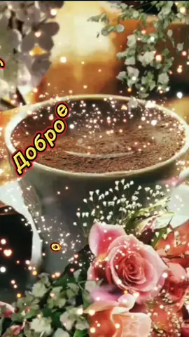 TikTok video #6931175387804339457