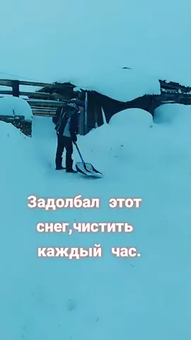 жиза😹😹😹😹😹