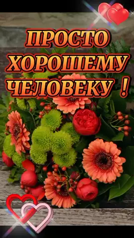 ПРОСТО ХОРОШЕМУ ЧЕЛОВЕКУ!#добрыепожелания #прекрасногонастроения #хор...