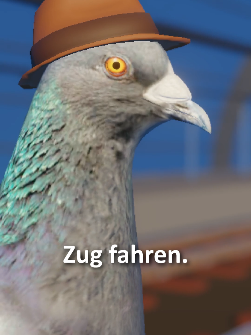 Taube fährt Zug #fyp #deutschememes #taube #zug #bahn 