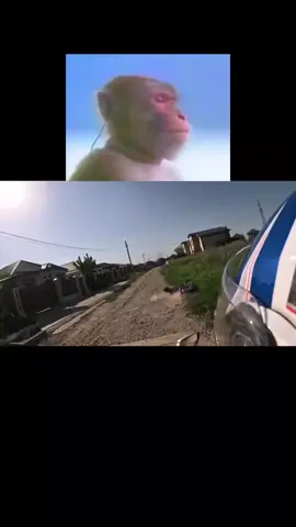 те самые крутые питбайкеры,когда их поймали ДПС #ДПСлошки  #ДПСдауны 