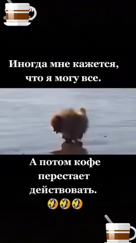 TikTok video #7037052624696397058