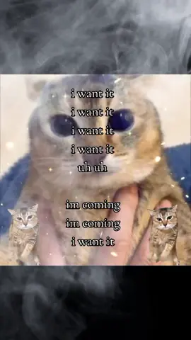 #lyrics #draingang #brainrot #ecco2k #bladee 