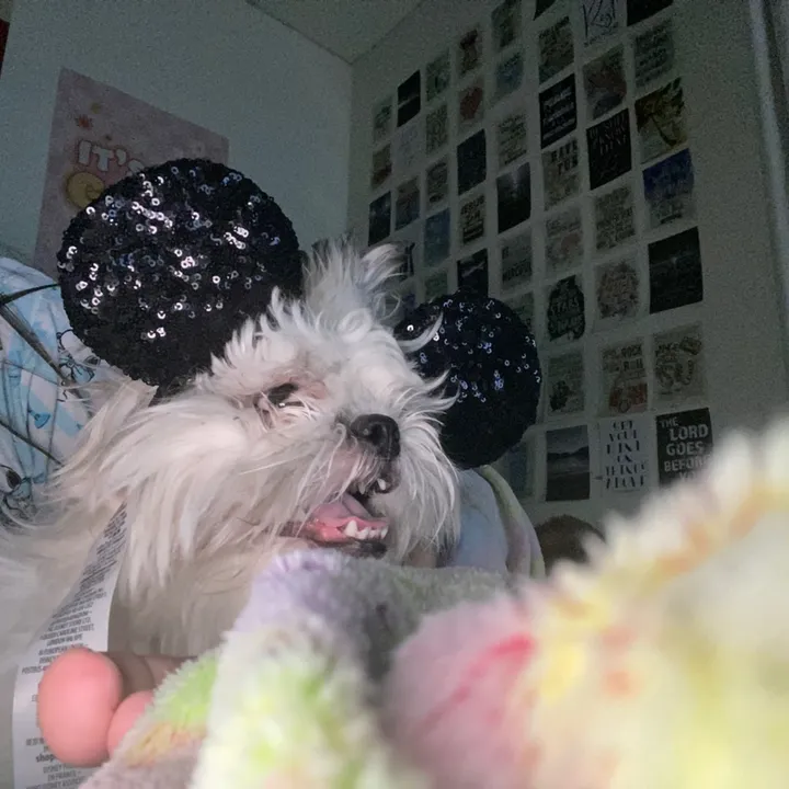 tiktok-live video #7603105547738565407 2026-02-04 20:33