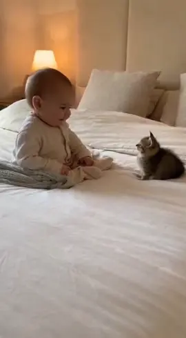 kedi ile bebeğin hoş dostluğu #cat #baby #shorts #keşfet 