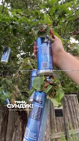 А какой у вас любимый фрукт? #сундук #пойдемотойдем