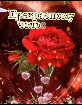 TikTok video #7040702071686909185