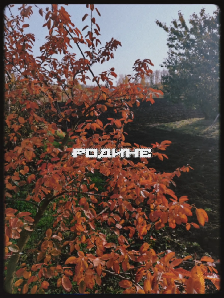 Нет в мире ничего дороже, чем Родина! 