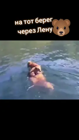 TikTok video #7033326764210375938